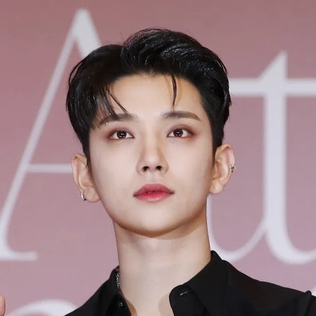 홍 지 수 (세븐틴)