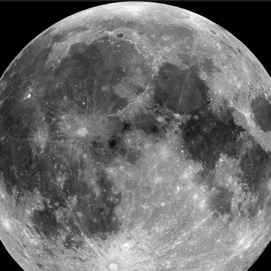 Profile image of 달