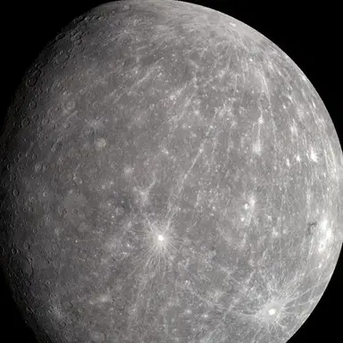 Profile image of 수성