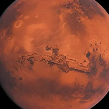 Profile image of 화성