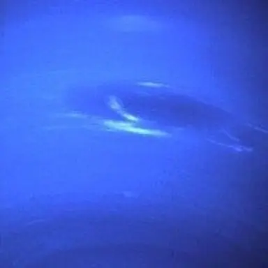 Profile image of 해왕성