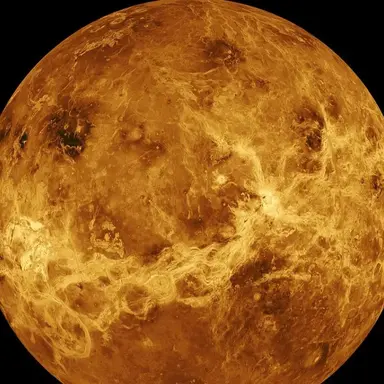 Profile image of 금성