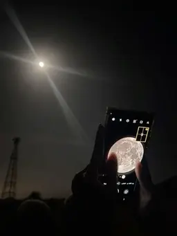 Profile image of 우즈키 케이