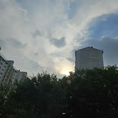 Profile image of 공룡