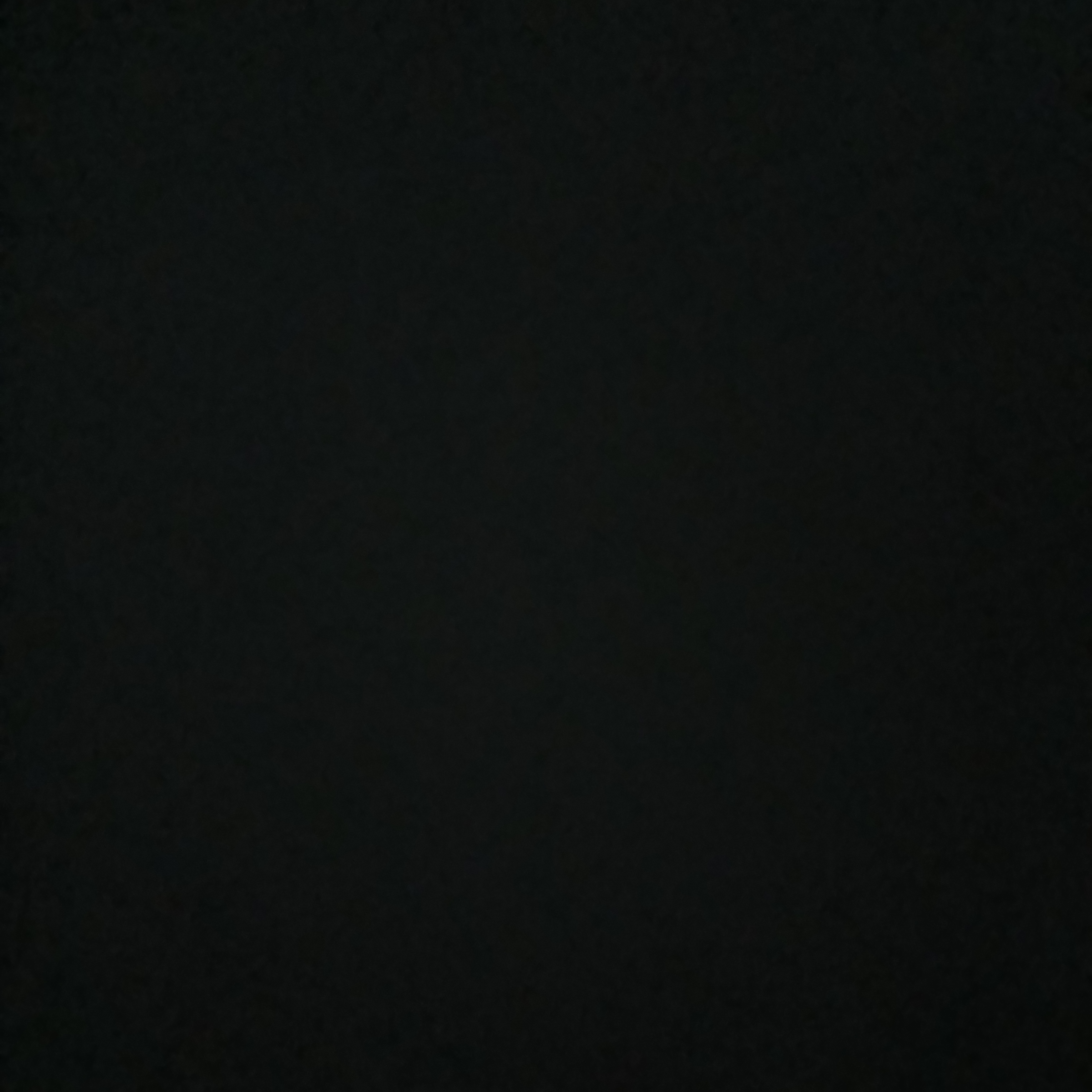 얀데레 둘기 대표 이미지