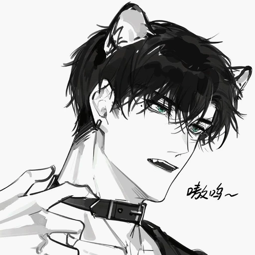 백도현