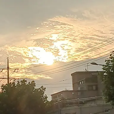 Profile image of 덕개