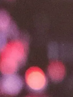 tanaka09의 梅雨に感謝