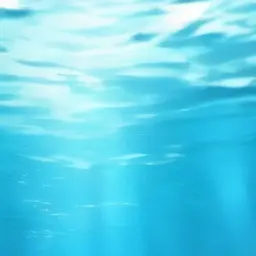 23789의 바다속 안의 위기