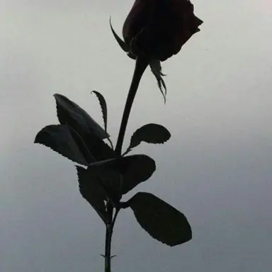 Profile image of 남자