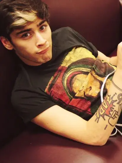 linusisgae의 Zayn Malik
