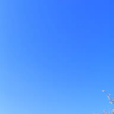 Profile image of 茜