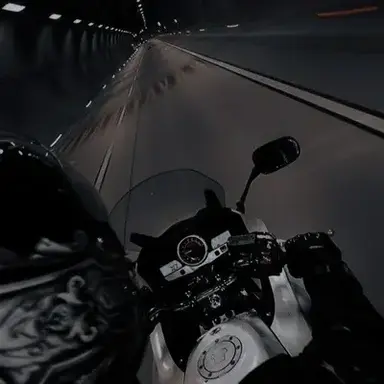 Profile image of Ryder