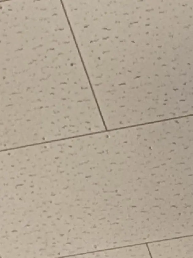 Kurosann의 逃げろ〜！