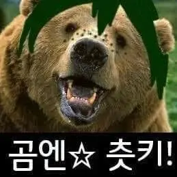 Profile image of 야마구치 타다시