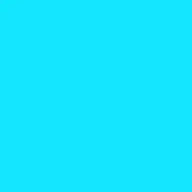 Profile image of Flavio
