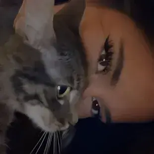 Profile image of Your brothers friends