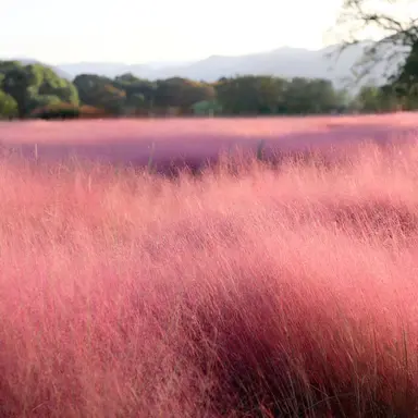 Profile image of pws 훈련