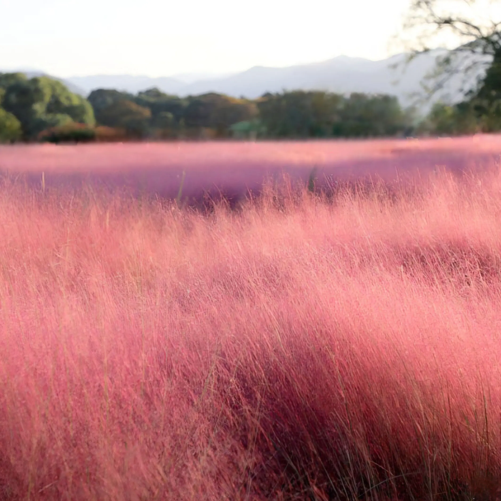 Akio8915의 pws훈련