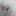 자캐