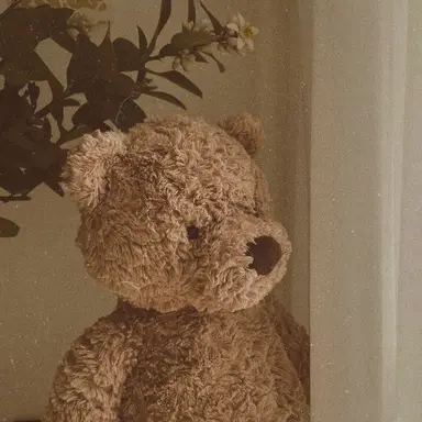 Profile image of 안정적인 곰돌이