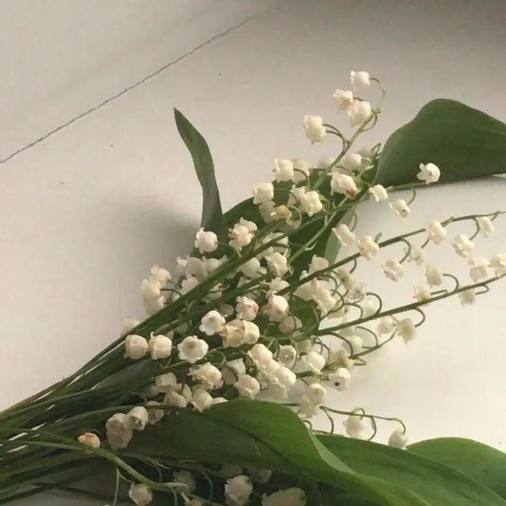 Either13의 아아 천사님 감사합니다..