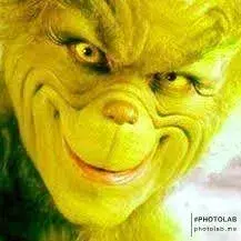 RunnyGulf5047의 Grinch