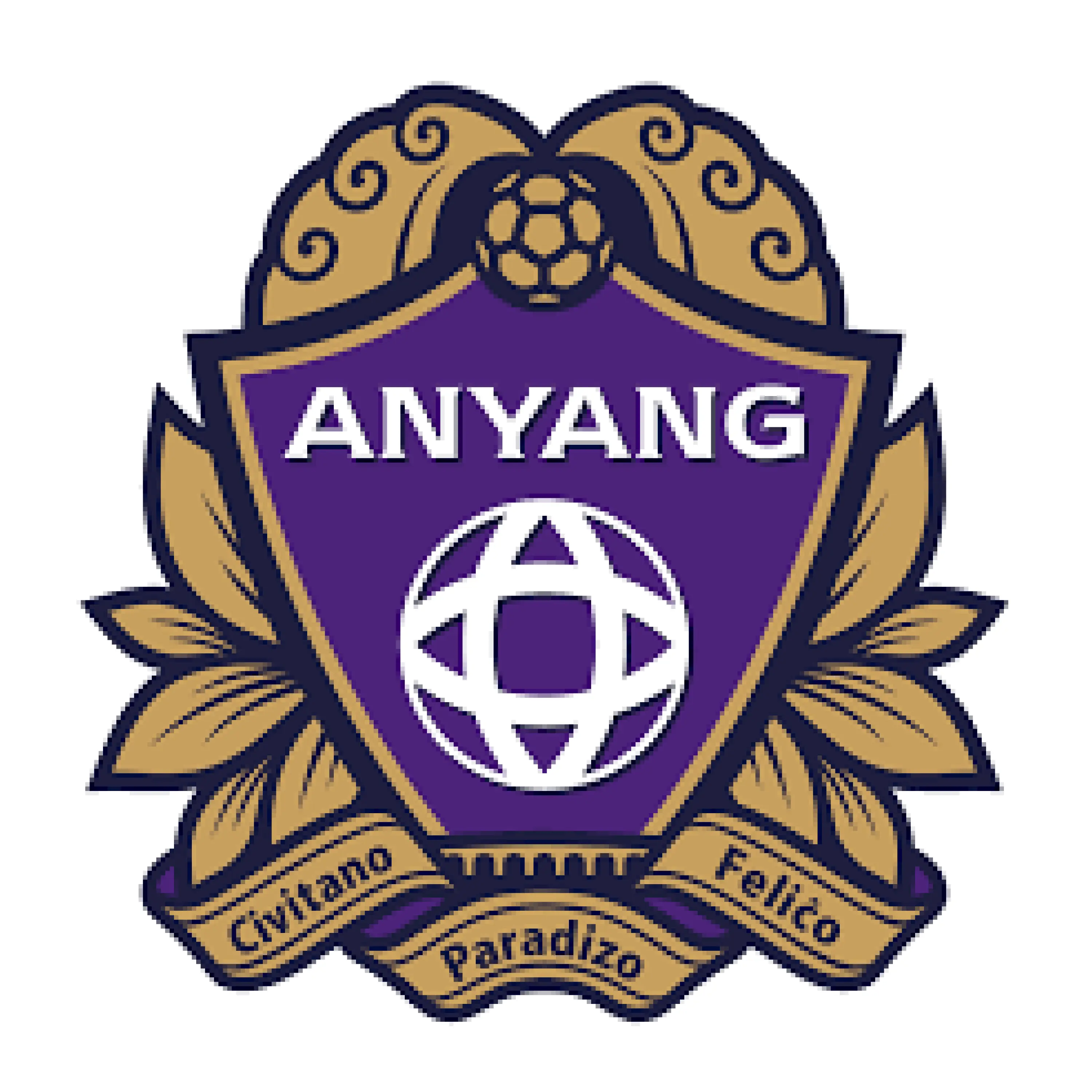 MiTA의 FC 안양