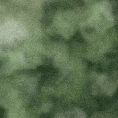 Profile image of 정공룡