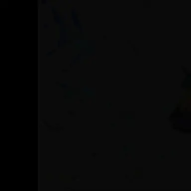 Profile image of 빅터 스털링