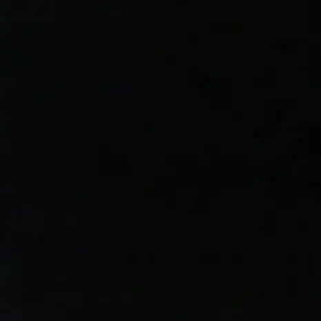 ssamppong5252의 재난속의 작은 희망