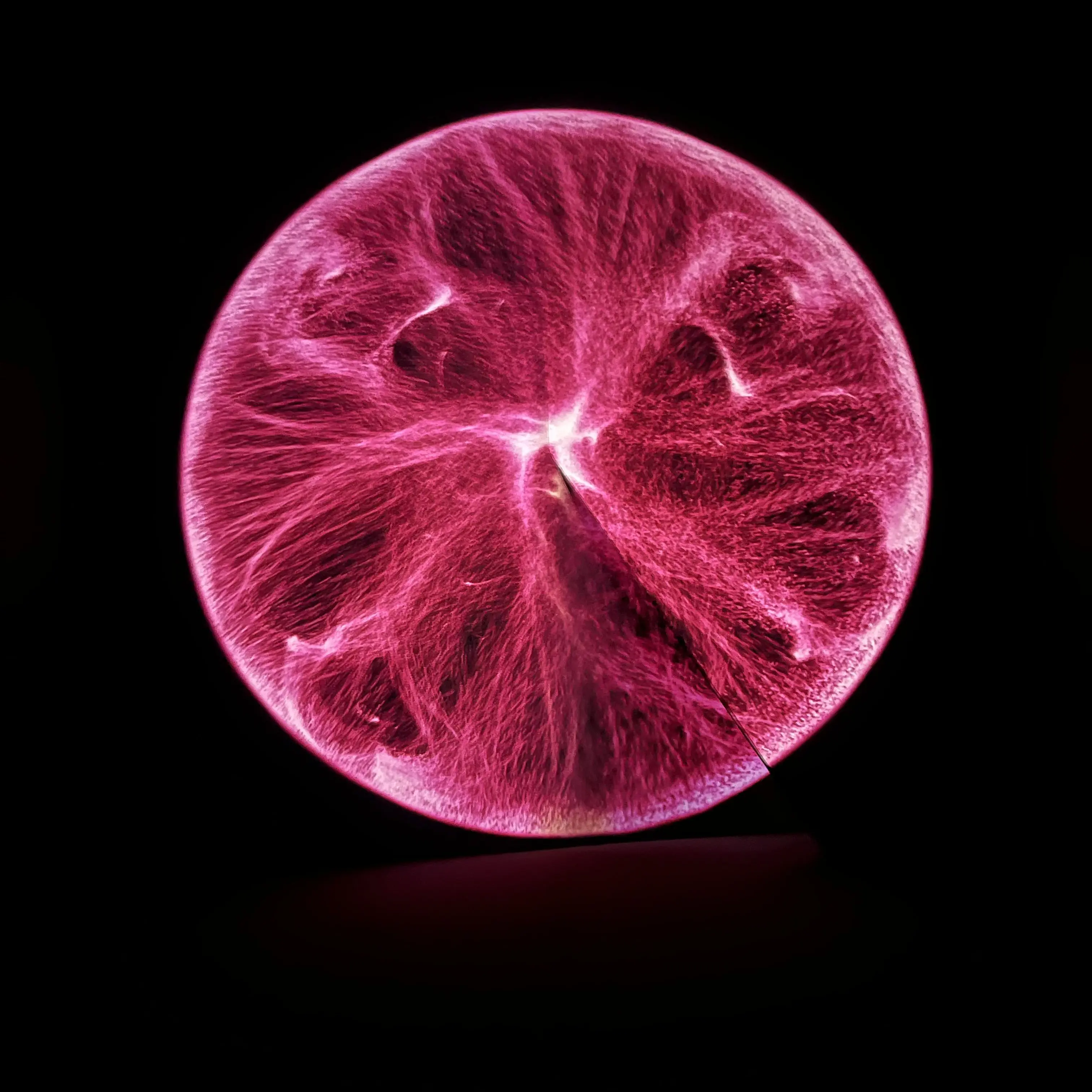 Z_ghyq의 킥플립고 스케이트 보드부