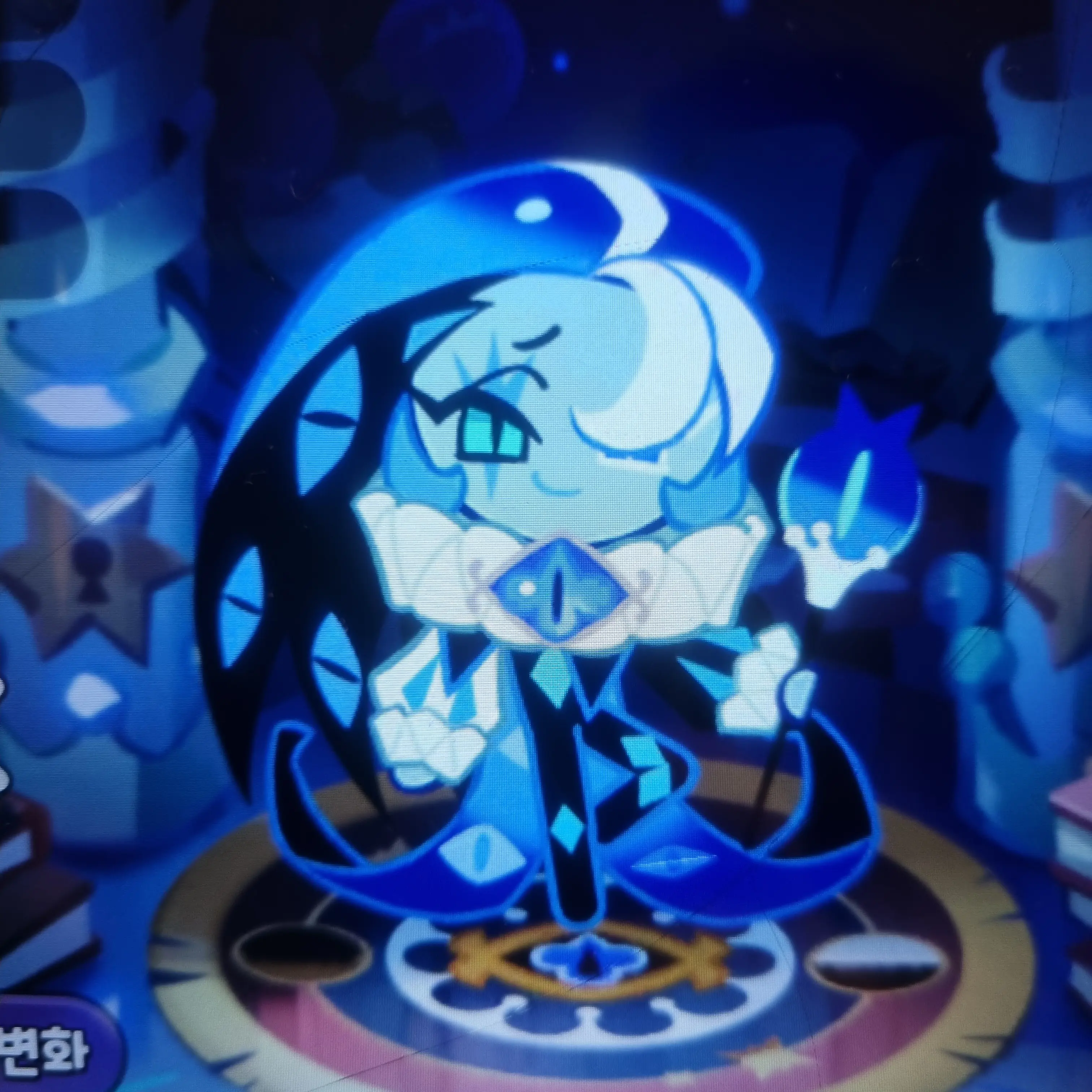 RainyNose1200의 쉐밀이