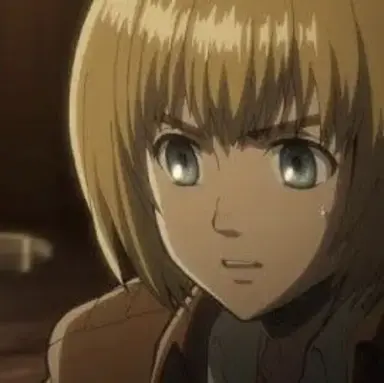 Profile image of アルミン
