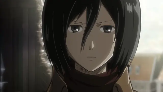 Profile image of ミカサ