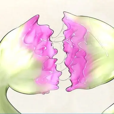 Profile image of 搾精植物