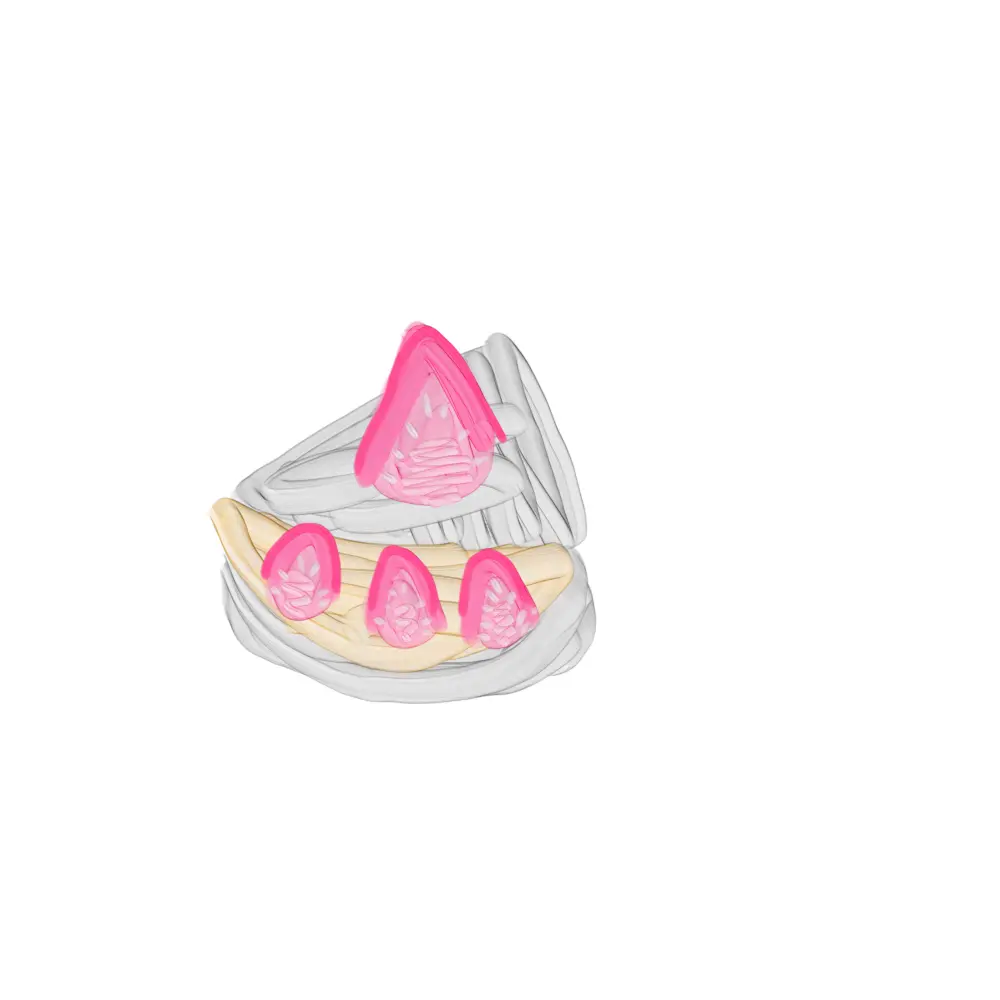 EggyTown5380의 케잌