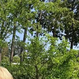 straykidsmyday의 양정인