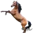 キショウナン