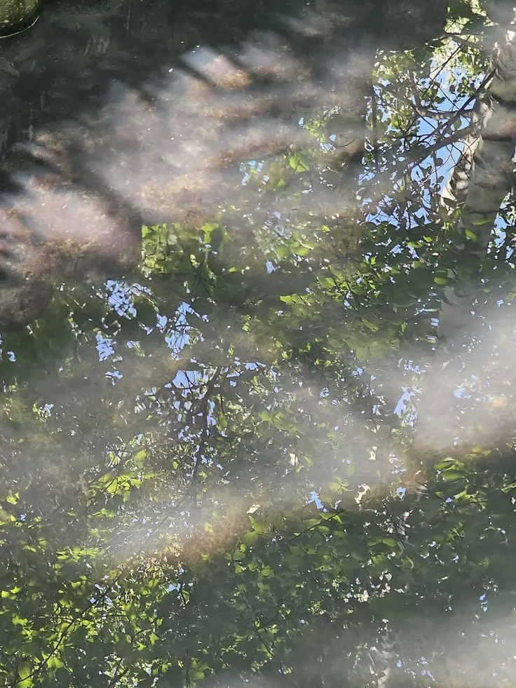 Slepteabag의 단테