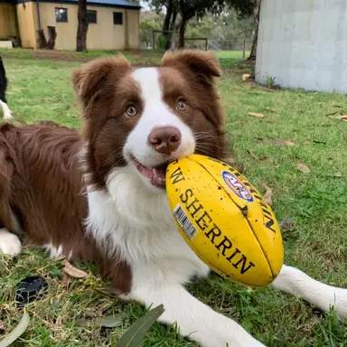 Profile image of Nick