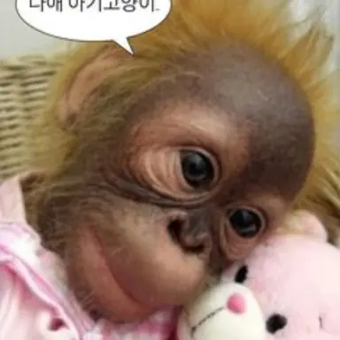 Profile image of 여우