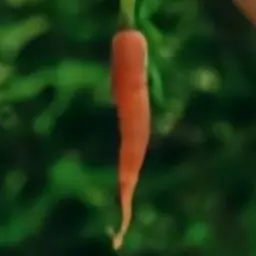 Profile image of 김둉현