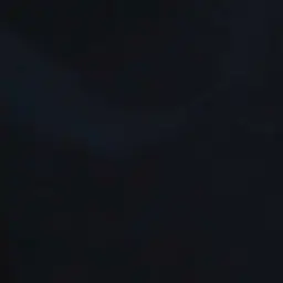 WrySpice0988의 ㅂㄴㄷ 데뷔