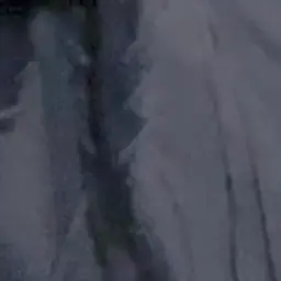 Profile image of 박셩호