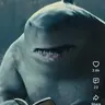 Profile image of King Shark