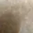 諭