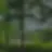 각별