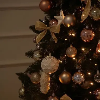 Profile image of 제미니