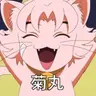 Profile image of 菊丸